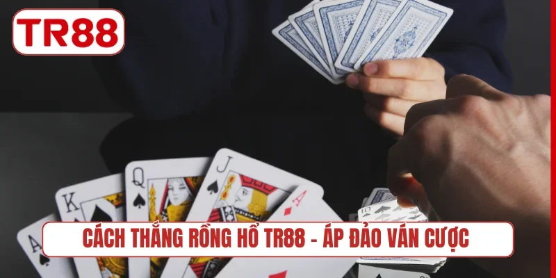 Cách thắng Rồng Hổ
