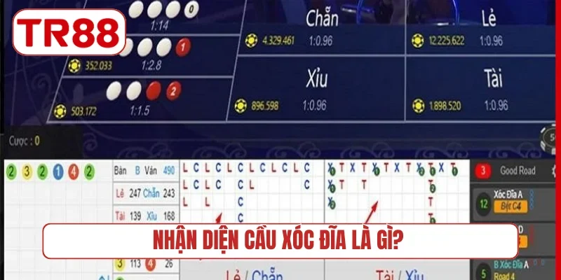 Nhận diện cầu xóc đĩa là gì?